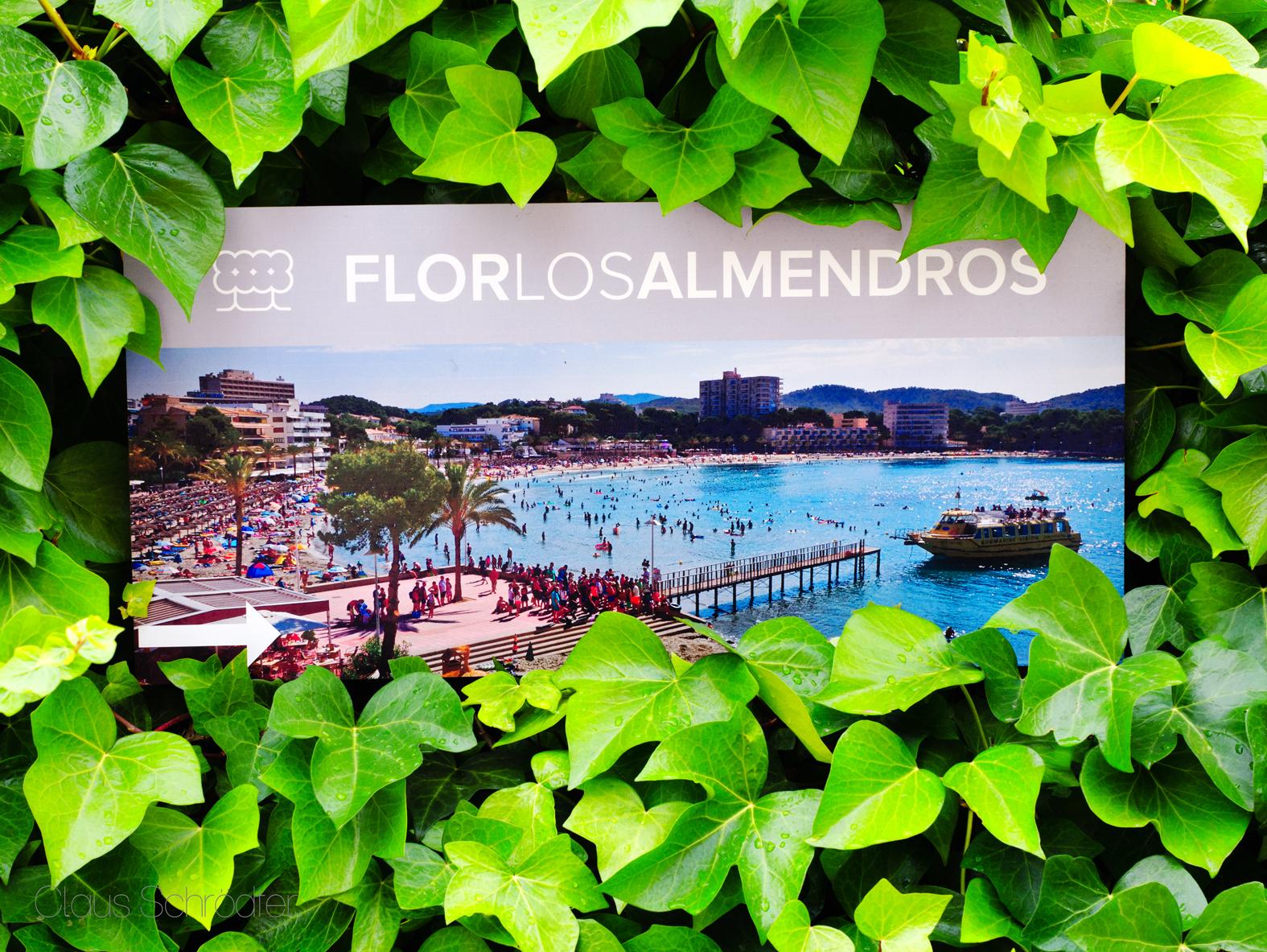 Flor Los Almendros Hotel باغيرا المظهر الخارجي الصورة